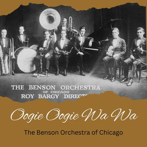 The Benson Orchestra Of Chicago - Oogie Oogie Wa Wa