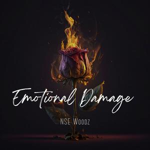 NSE Woodz - Dry Your Eyes