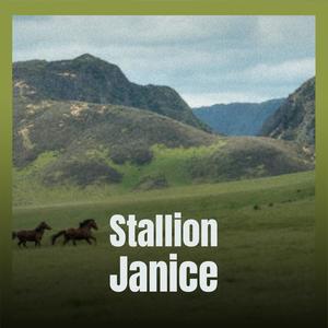 Stallion Janice