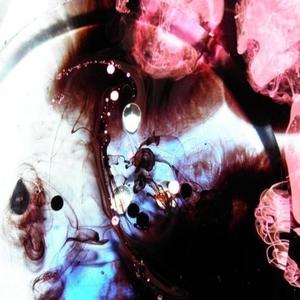 say it (feat. melrose) (Explicit)