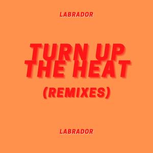 Turn Up The Heat (The Remixes)