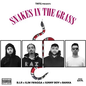 Snakes in the Grass (feat. Slim Swagga, Sunny Boy & Banka) [Explicit]