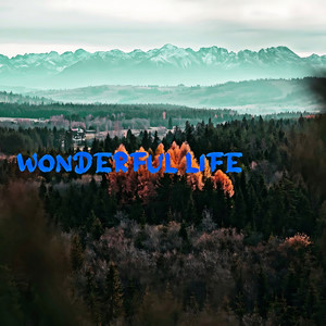 Wonderful Life