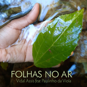 Folhas No Ar