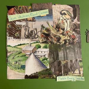 Dead Cocoon (Explicit)