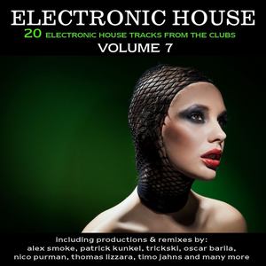 Electronic House, Vol. 7