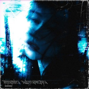 Fading Whispers (Explicit)