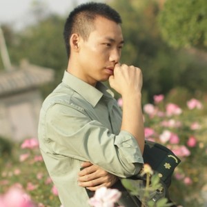 月光下的凤尾竹