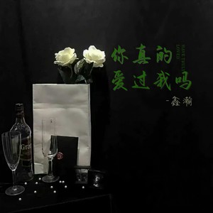 你真的爱过我吗