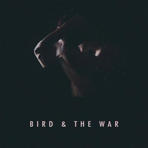 Bird & The War