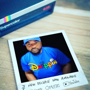 Hit Da Flo (Explicit)