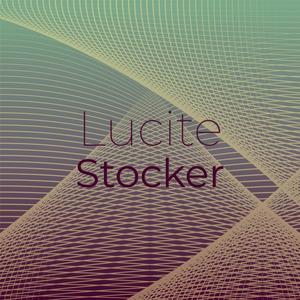Lucite Stocker
