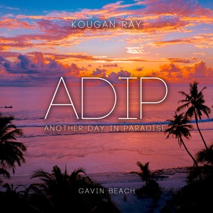 ADIP(Another Day In Paradise)