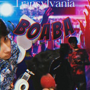 Boaba (feat. Luciosu, Deiu Baros & Schem) [Explicit]