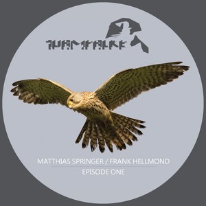 Divine Insolence (Matthias Springer Remix)