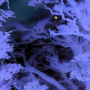 Trauma Bonds (Explicit)