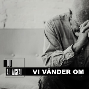 Vi vänder om