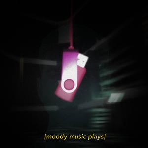 bonus WESTEN (feat. Einssiebensam)