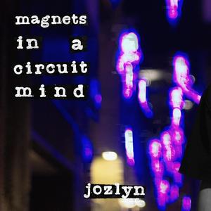 Magnets In A Circuit Mind