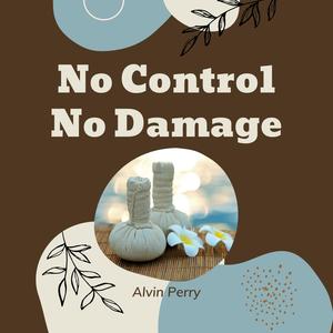No Control No Damage