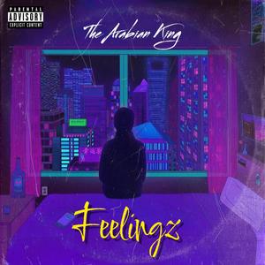 Feelingz (Explicit)