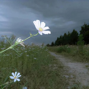 陆小九 - 寂寞烟火 (氛围R&B版)