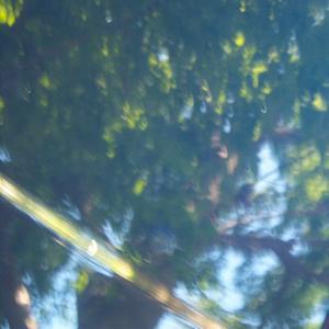 YEXASREALM - upallnight4u