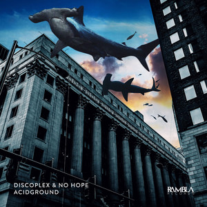 Acidground (Original Mix)