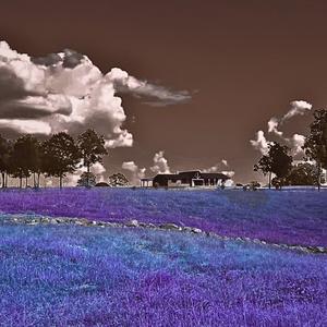 Insomnia Paradise (Explicit)