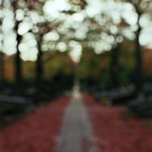 The Shape of Stillness