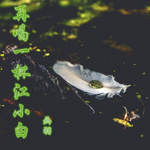 再喝一杯江小白 (伴奏)