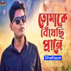 Tomake Bedhechi Prane