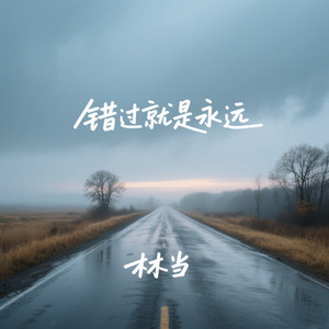 错过就是永远