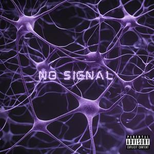 No Signal (Explicit)