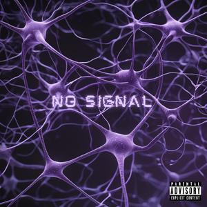 No Signal