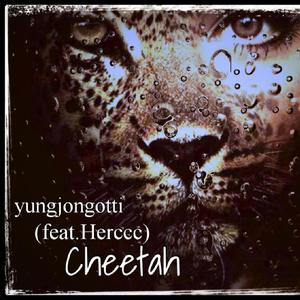 Cheetah (feat. Herccc)