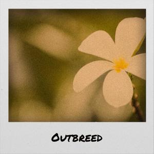 Outbreed