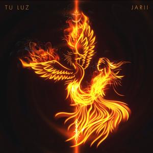 Tu Luz
