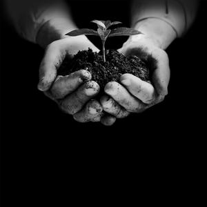 Abide! (feat. Shayyn!)