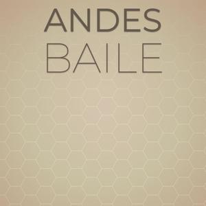 Andes Baile