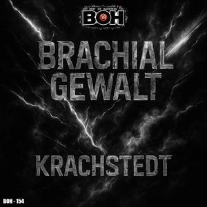 Brachial Gewalt