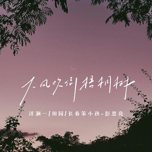 大风吹倒梧桐树