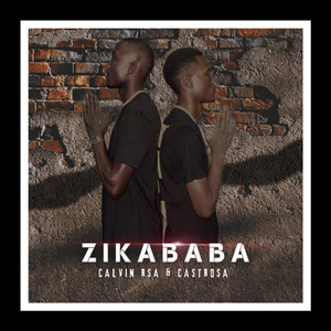 Zika Baba