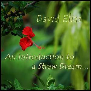 An Introduction to a Straw Dream