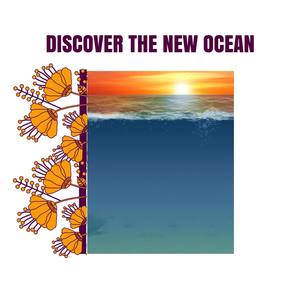 Discover The New Ocean