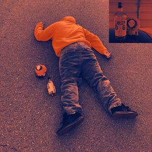 DiorLevii - AINT NOBODY OUT HERE SLIDIN FR (feat. skisim) (Explicit)