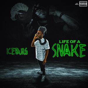 Life Of A Snake (Explicit)