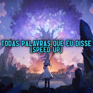 Todas Palavras Que Eu Disse (Speed Up) (Explicit)