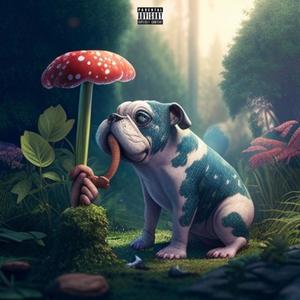 ShroomDog (Explicit)
