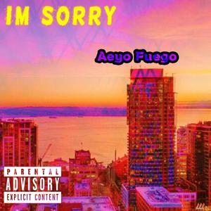 I'm Sorry (Explicit)